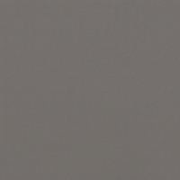 Vinilo decorativo Coala Interior COLOR SOLIDO RM28 - Light Anthracite Grey