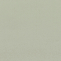 Vinilo decorativo Coala Interior COLOR SOLIDO RM30 - Pastel Olive Green