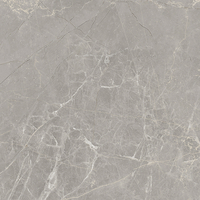 Vinilo decorativo Coala Interior Stone NH11 - Light Etruscan Grey