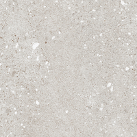 Vinilo decorativo Coala Interior Stone NH40 - Terrazzo Grey