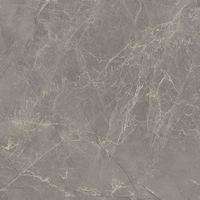 Vinilo decorativo Coala Interior Stone NH46 - Etruscan Grey