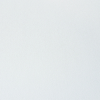 Vinilo decorativo Coala Interior Color XL - White - Ultra White