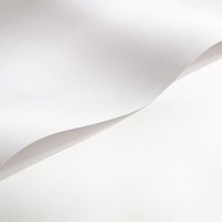 Cocoon Silk