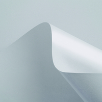 Curious Matter Goya White 270 g/m² 700 mm x 1000 mm 100 hojas/paq