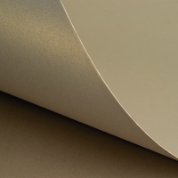 Curious Metallics Champagne 300 g/m² 720 mm x 1020 mm 100 hojas/paq