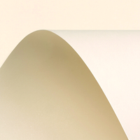 Curious Metallics Cryogen White 250 g/m² 640 mm x 900 mm 125 hojas/paq