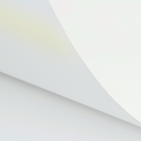 Curious Metallics Ice Gold 300 g/m² 720 mm x 1020 mm 100 hojas/paq