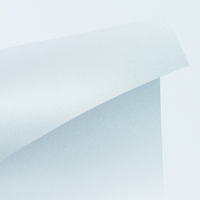 Curious Metallics Ice Silver 300 g/m² 720 mm x 1020 mm 100 hojas/paq