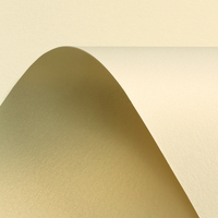 Curious Metallics White Gold 120 g/m² 720 mm x 1020 mm 250 hojas/paq