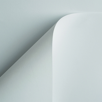 Curious Skin extra white 270 g/m² 700 mm x 1000 mm 100 hojas/paq