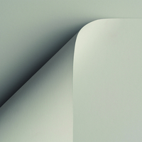 Curious Skin grey 270 g/m² 700 mm x 1000 mm 100 hojas/paq