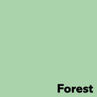 Papel Image Coloraction Verde Bosque/Pastel 80 g/m² 450 mm x 640 mm