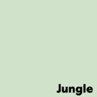 Papel Image Coloraction jungle/verde pastel 80 g/m² 450 mm x 640 mm