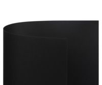 Shiro Echo Raw Negro