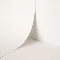 Papel Keaykolour Pure White 300 g/m² 700 mm x 1000 mm 100 hojas/paq