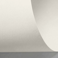 Papel Rives Design Natural White 250 g/m² 700 mm x 1000 mm 100 hojas/paq