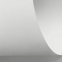 Papel Rives Laid Bright White 220 g/m² 700 mm x 1000 mm 100 hojas/paq