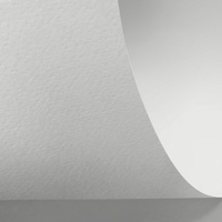 Papel Rives Shetland Digital Bright White  250 g/m² 483mm x 330mm 250 hojas/paq
