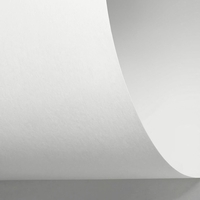 Papel Sensation Tactile 270 g/m² 700 mm x 1000 mm 100 hojas/paq