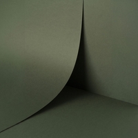 Papel Keaykolour Sequoia 120 g/m² 700 mm x 1000 mm 250 hojas/paq