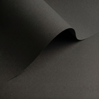 Papel Olin Colours Digital Negro 320 g/m² 530 mm x 750 mm