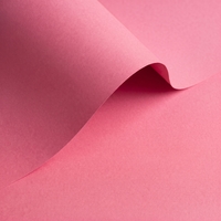 Papel Olin Colours Blush 240 g/m² 700 mm x 1000 mm