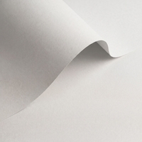 Papel Olin Colours Brilliant White 240 g/m² 700 mm x 1000 mm