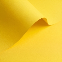 Papel Olin Colours Citrus Yellow 90 g/m² 700 mm x 1000 mm