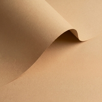 Papel Olin Colours Fawn 120 g/m² 700 mm x 1000 mm