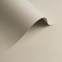 Papel Olin Colours Grey 240 g/m² 700 mm x 1000 mm