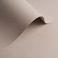 Papel Olin Origins Pebble 320 g/m² 700 mm x 1000 mm