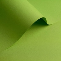 Papel Olin Colours Pistachio 240 g/m² 700 mm x 1000 mm