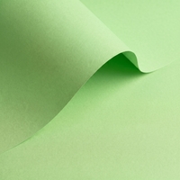 Papel Olin Colours Spring Green  90 g/m² 700 mm x 1000 mm