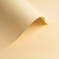 Papel Olin Colours Vanilla 240 g/m² 700 mm x 1000 mm