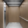 3M Di-Noc Wood