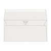 Curious Metallics Ice Silver DL 110 x 220 mm 120 g/m² en caja