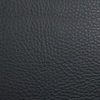 Coala Interior Film Tela
