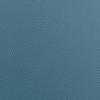 Coala Interior Film Tela