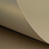 Curious Metallics Champagne 300 g/m² 720 mm x 1020 mm 100 hojas/paq