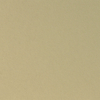 Curious Metallics Champagne 300 g/m² 720 mm x 1020 mm 100 hojas/paq