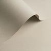 Papel Olin Colours Grey 170 g/m² 700 mm x 1000 mm