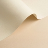 Papel Olin Colours Ivory 240 g/m² 450 mm x 640 mm