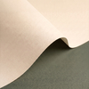 Papel Olin Regular warm white 90 g/m² 720 mm x 1020 mm