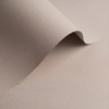 Papel Olin Origins para HP Indigo Pebble 320 g/m² 460mm x 320mm