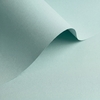 Papel Olin Colours Storm Grey 170 g/m² 450 mm x 640 mm