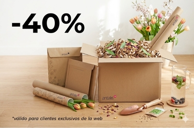 SÓLO en antalis.es: 40% de descuento* en productos de embalaje